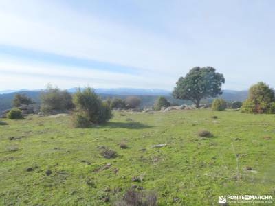 Comida Navidad - Los 13 Roeles; rutas senderismo españa ribeira sacra lugo pinsapar de grazalema via